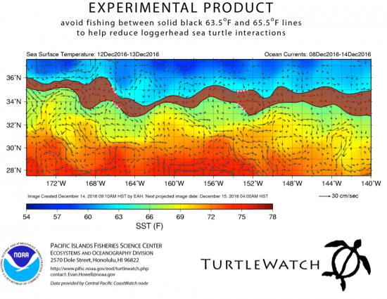TurtleWatch experimental product example