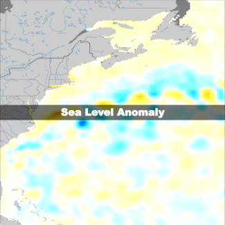 Plot of Sea Level Anomaly