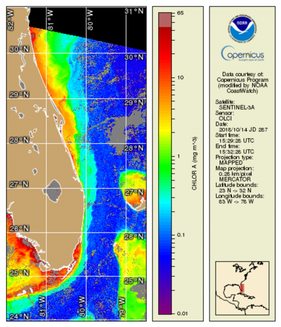 Map projection of chlorophyll-a concentration over the Atlantic ocean off of the east coast of Florida