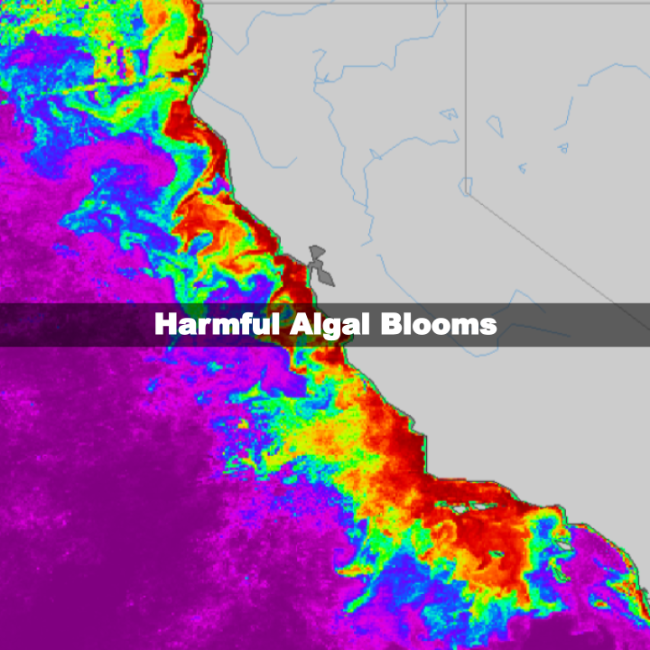 Plot showing a Harmful Algal Bloom