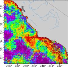 ERDDAP Map Output for C-HARM v3.1 3-Day Forecast, Pseudo-nitzschia, cellular domoic acid, and particular domoic acid probability, California and Southern Oregon coast, 2022- present