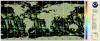 Global map projection of anomalies of chlorophyll-a concentration